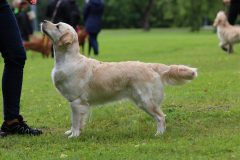 IMG_6244-scaled