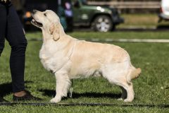IMG_2342-scaled