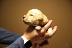 IMG_4064-scaled