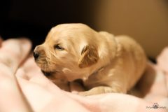 IMG_4253-scaled
