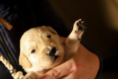 IMG_4501-scaled