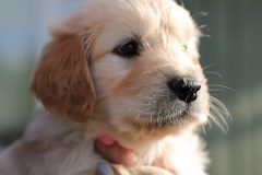 IMG_7233-scaled